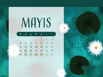 Mayıs